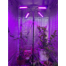 Фитосветильник для растений полного спектра SGT-768 200W